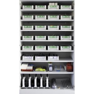 Riedenburger Modele Biologie 1, 5 groupes