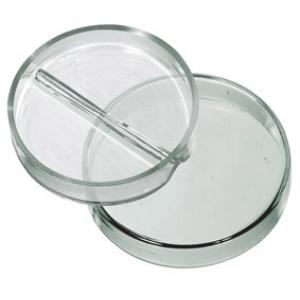 Petridish Glass 1/2 Division 100mm