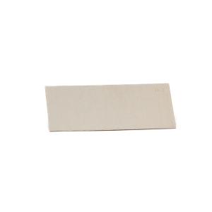 Electrode de argent en plaque, 76 x 40 mm
