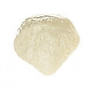 Rotule (Patella) Moulage naturel