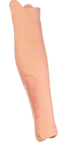 CLA 530 Lower leg, right